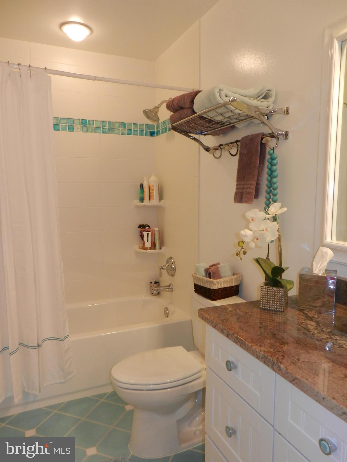 6366 Lee Forest Path Centreville, VA 20120 - Photo 26 of 30 Bath