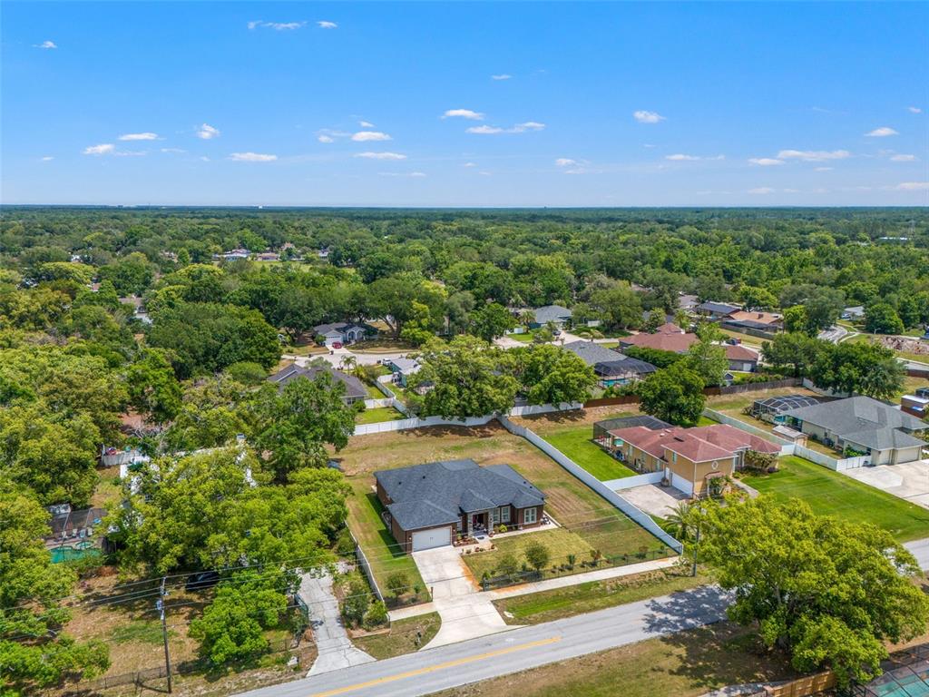 17601 Hanna Road Lutz, FL 33549 - Photo 42 of 48 an aerial view of residential houses with outdoor space and trees