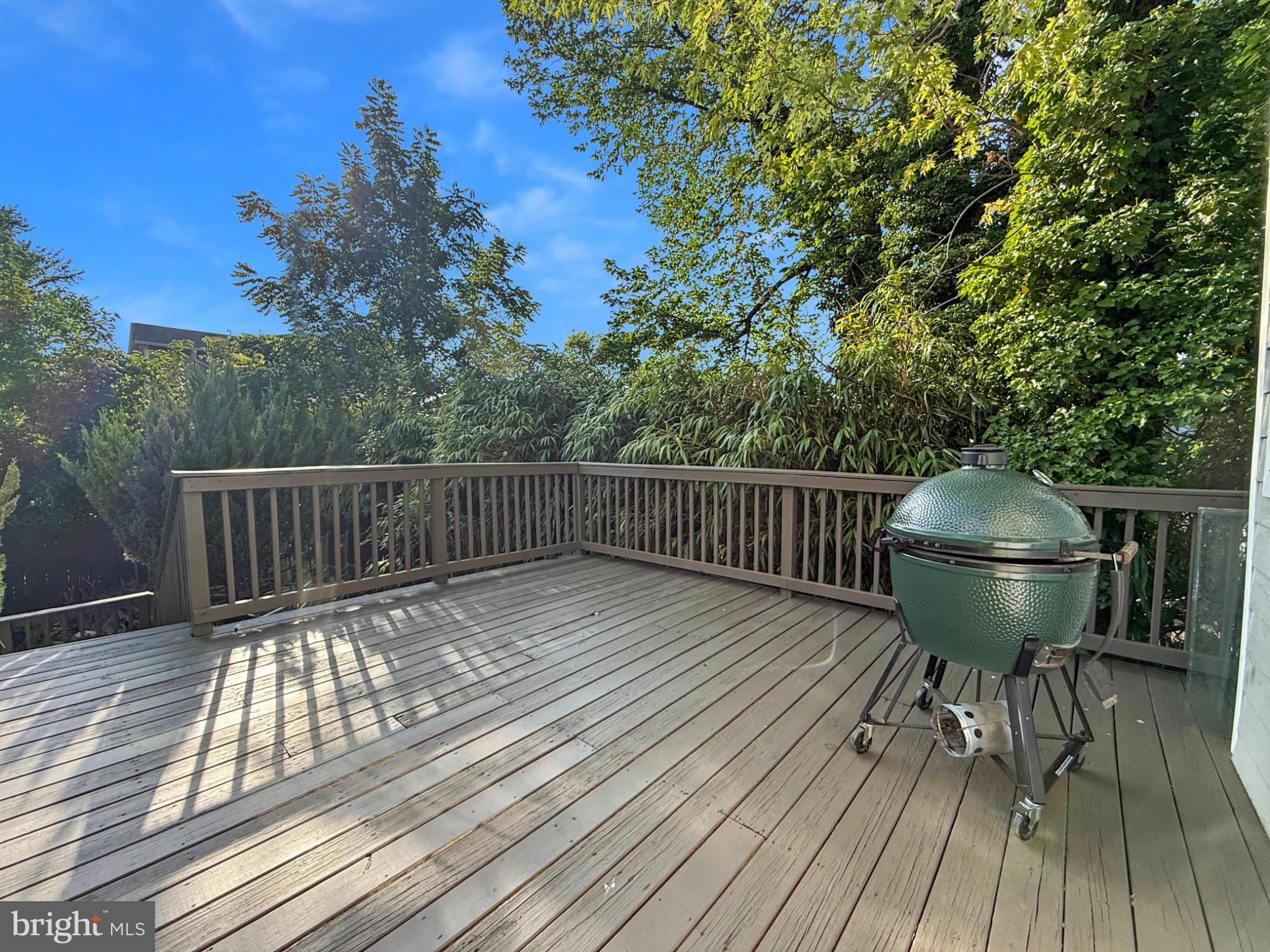 3216 18th Street Northeast Washington, DC 20018 - Photo 15 of 47 Sunny deck with lush greenery backdrop.