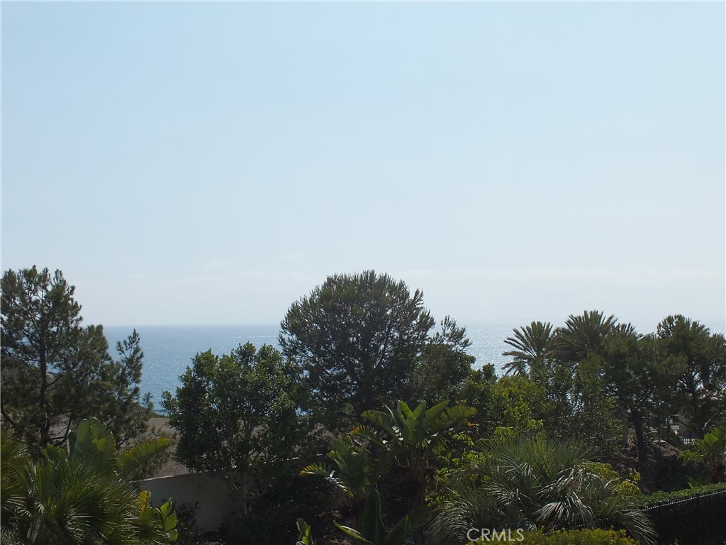 34140 Selva Road, Unit 221 Dana Point, CA 92629 - Photo 33 of 41 Gallery Image 33