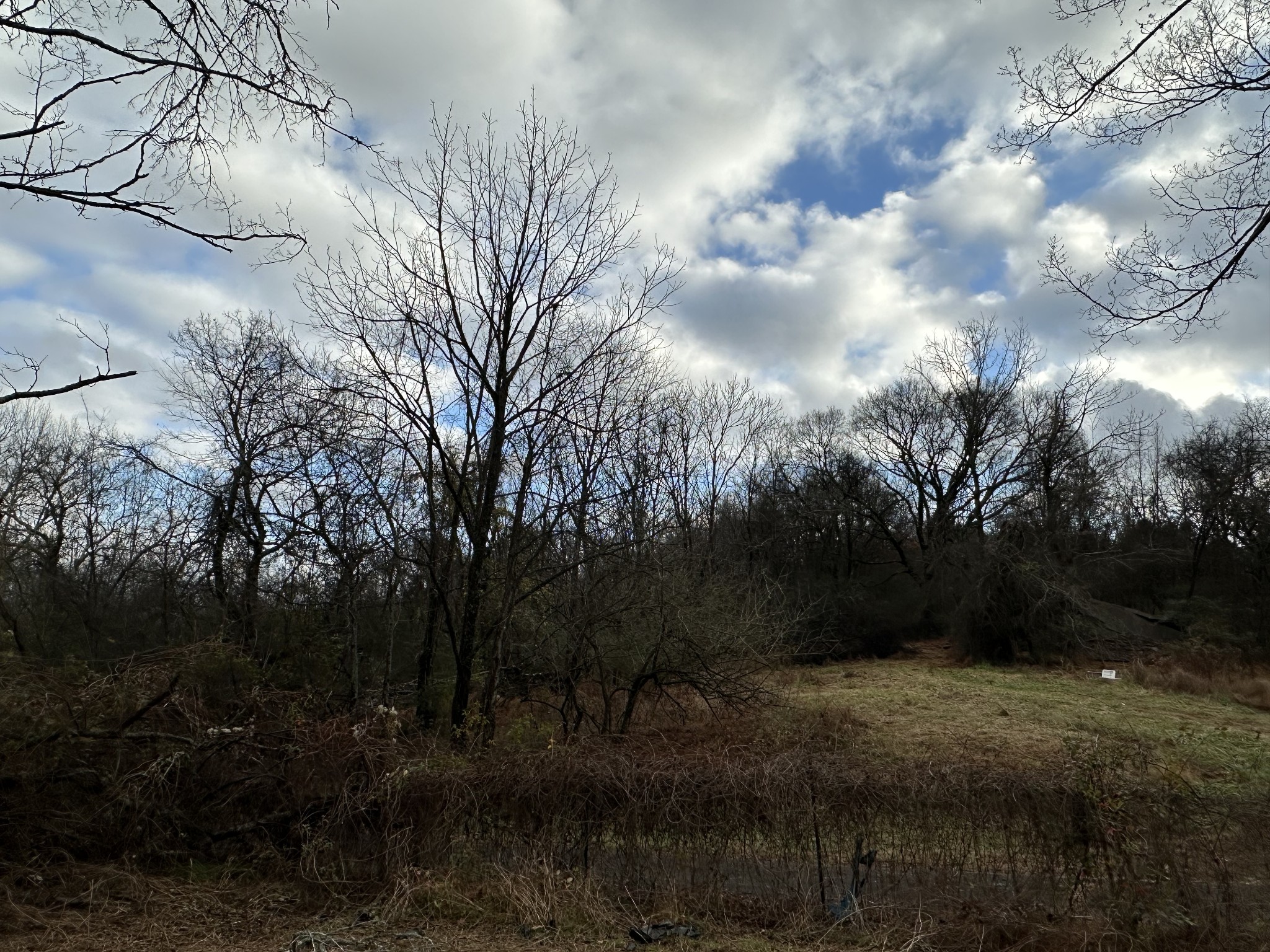 0 Minor Hill Road Pulaski, TN 38478 - Photo 12 of 32 a view of outdoor space and yard