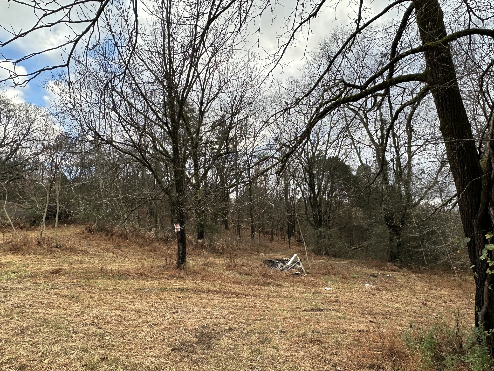 0 Minor Hill Road Pulaski, TN 38478 - Photo 15 of 32 a view of a tree with a yard
