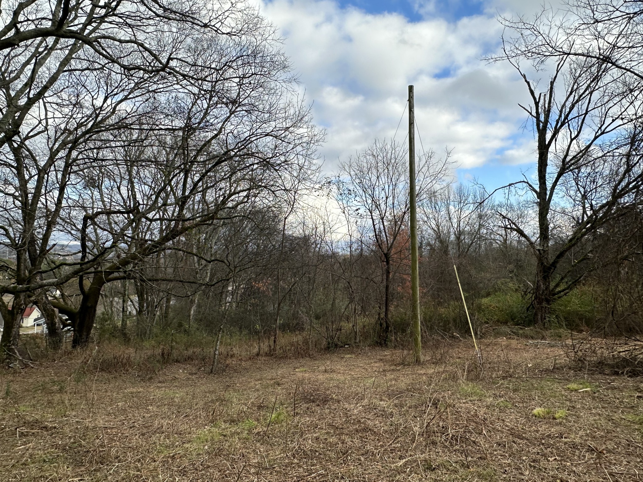 0 Minor Hill Road Pulaski, TN 38478 - Photo 5 of 32 a backyard of a house with lots of green space