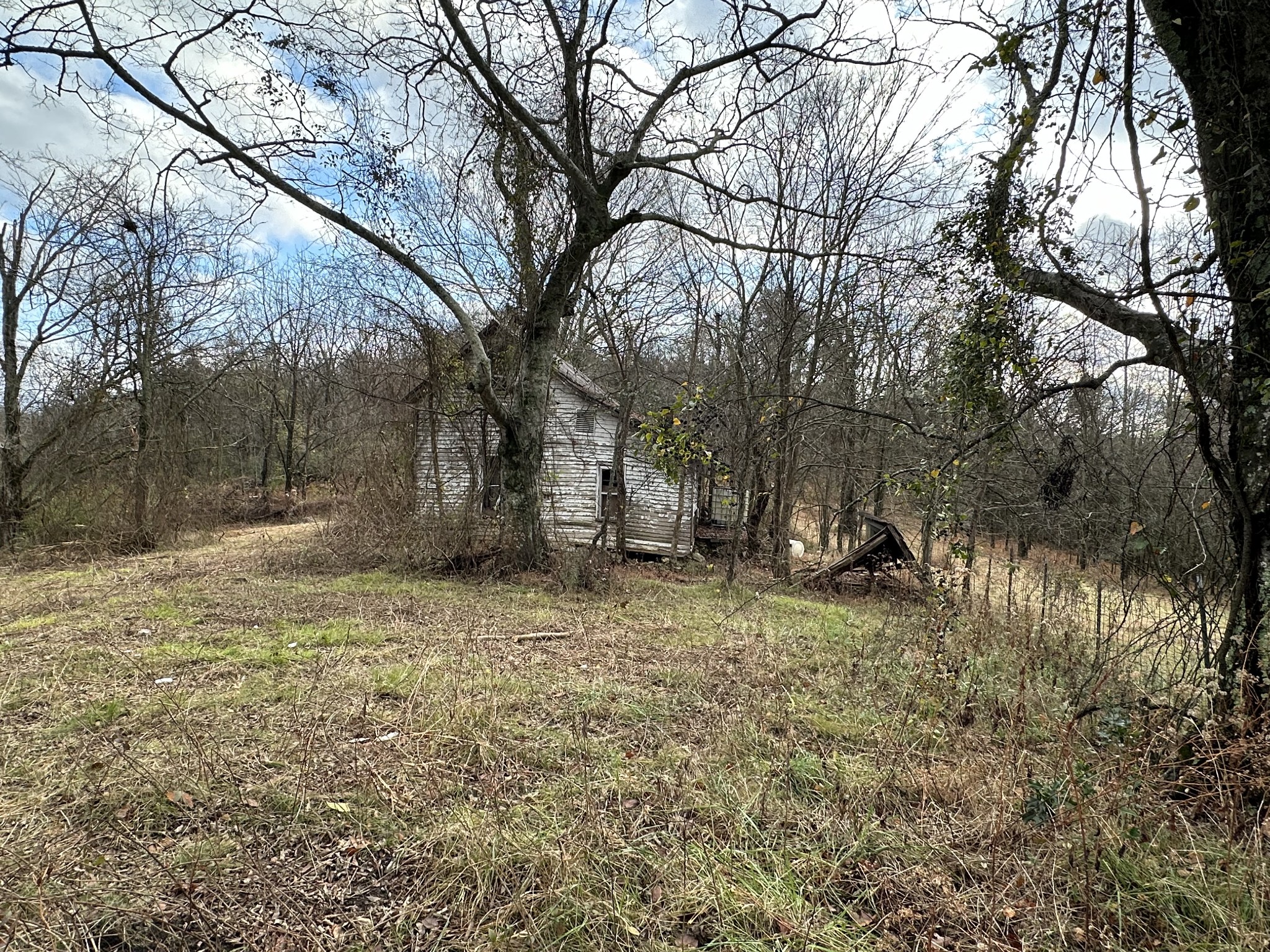 0 Minor Hill Road Pulaski, TN 38478 - Photo 9 of 32 a backyard of a house with lots of green space