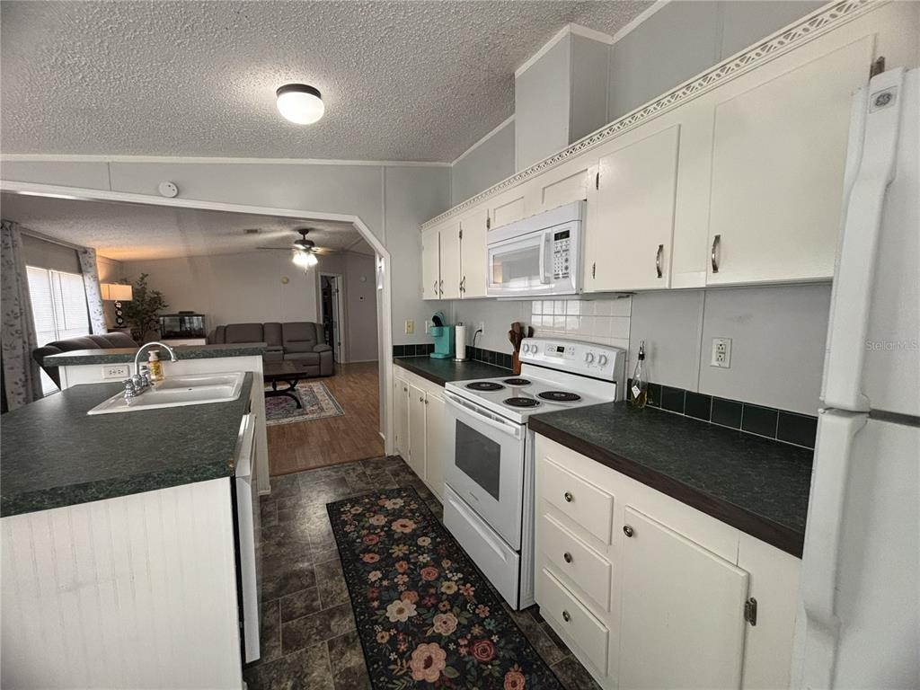 16564 Southeast 103rd Ave Road Summerfield, FL 34491 - Photo 18 of 18