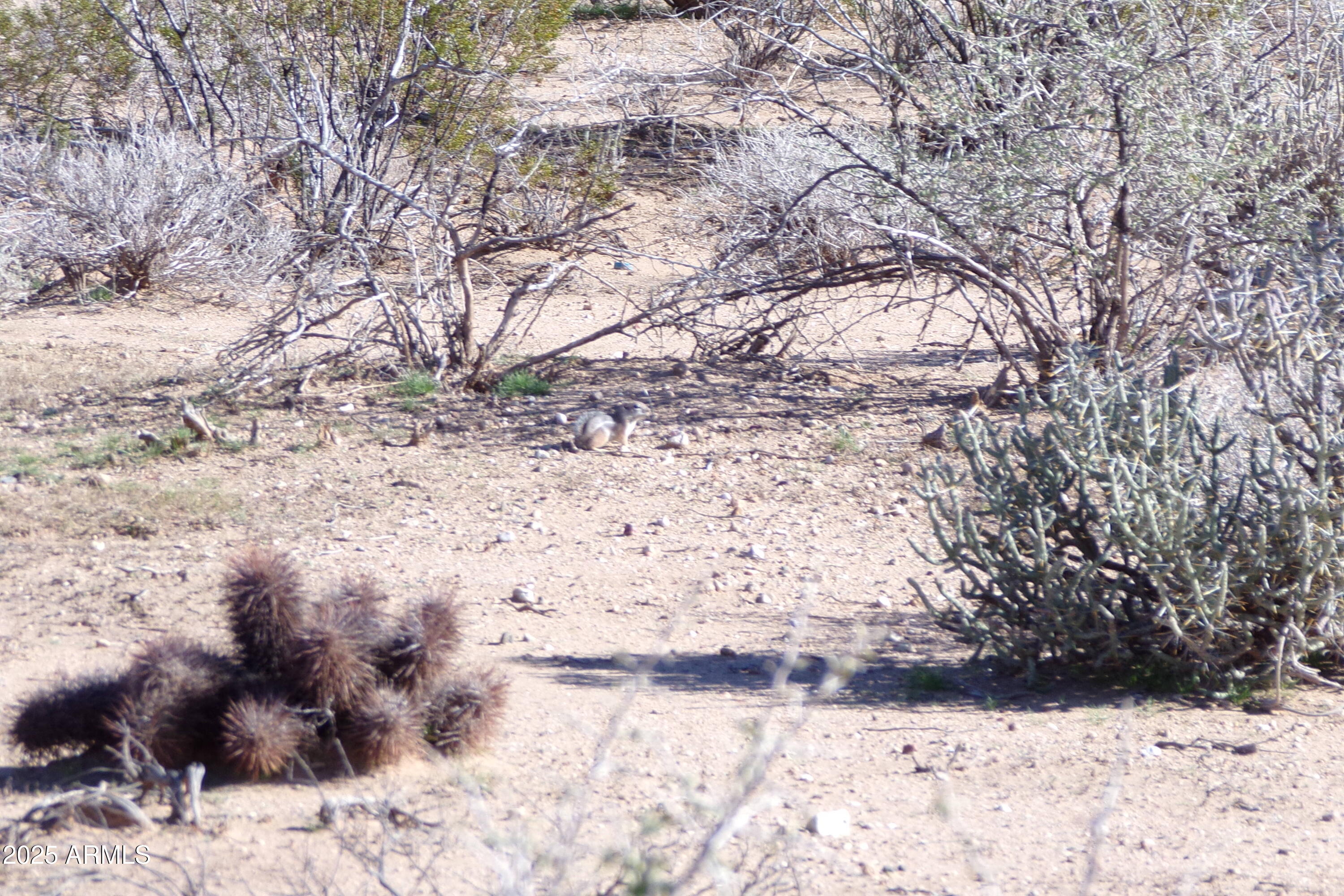 1152 Colorado Road Golden Valley, AZ 86413 - Photo 12 of 47 a view of snow on a road