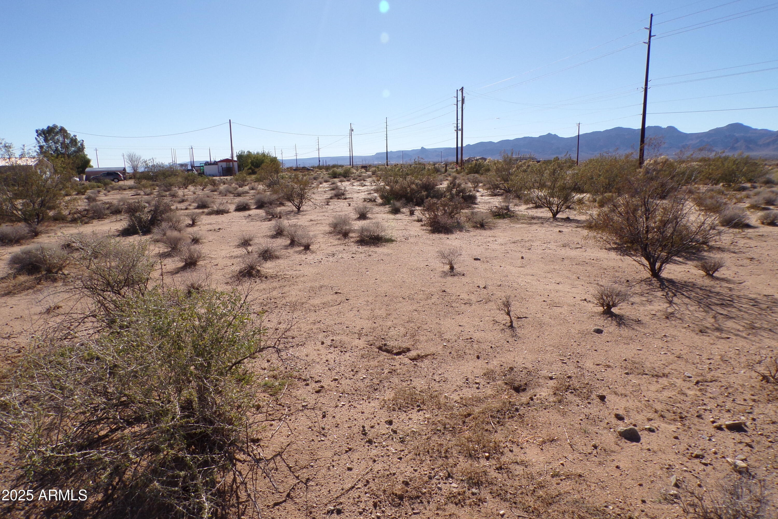1152 Colorado Road Golden Valley, AZ 86413 - Photo 37 of 47 a view of a dry yard with lots of trees