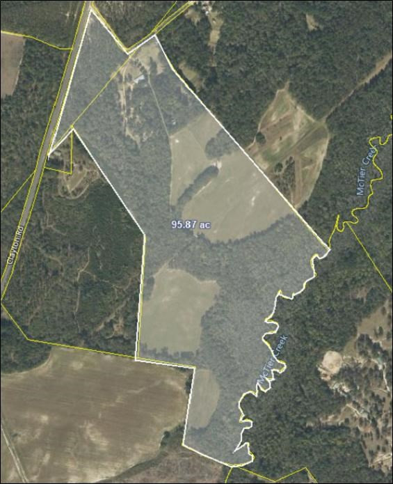 1201 Clayton Road Ridge Spring, SC 29129 - Photo 4 of 56