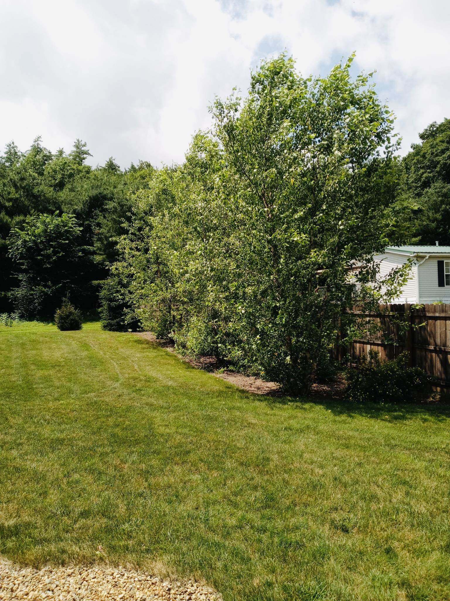 209 Valley Road New Durham, NH 03855 - Photo 33 of 33