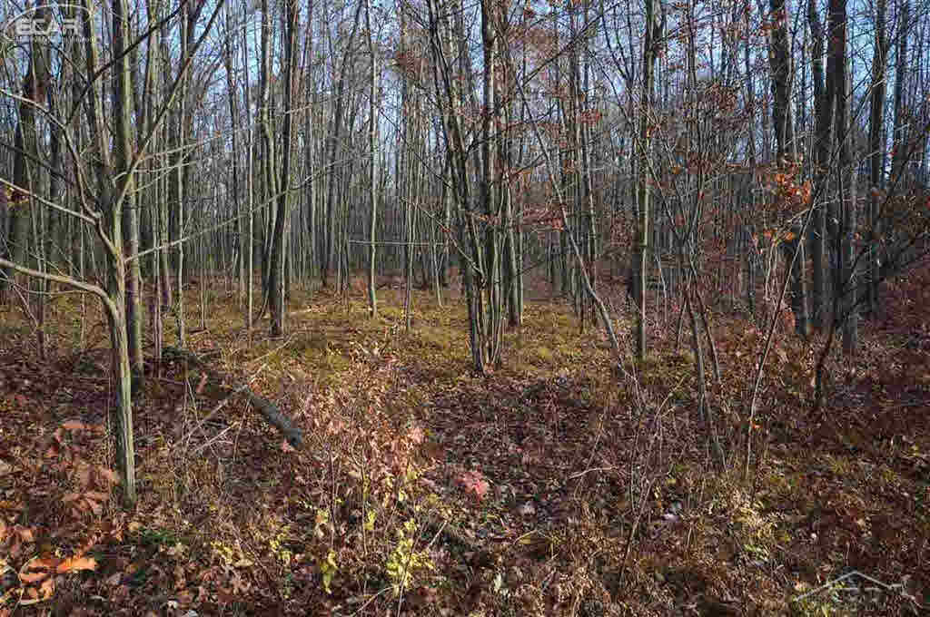 0 O Obrien Road Vassar, MI 48768 - Photo 5 of 6
