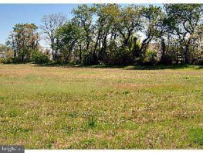 Lot 54 Half Shell Road Milton, DE 19968 - Photo 1 of 3 Gallery Image 1