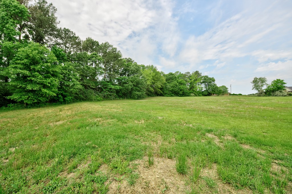 Lot 1 McCord Road Dothan, AL 36301 - Photo 4 of 10