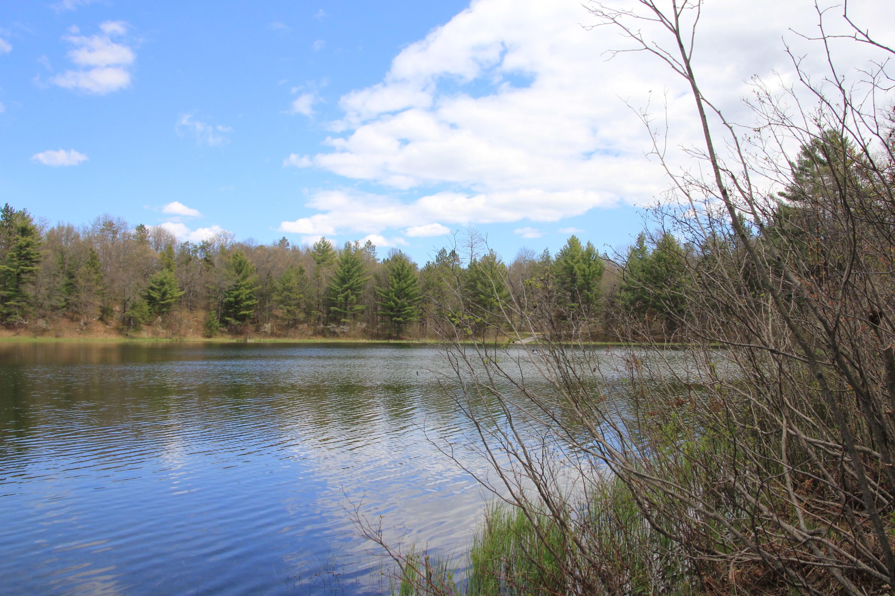 North Skeel Road Curran, MI 48728 - Photo 11 of 36 Gallery Image 11