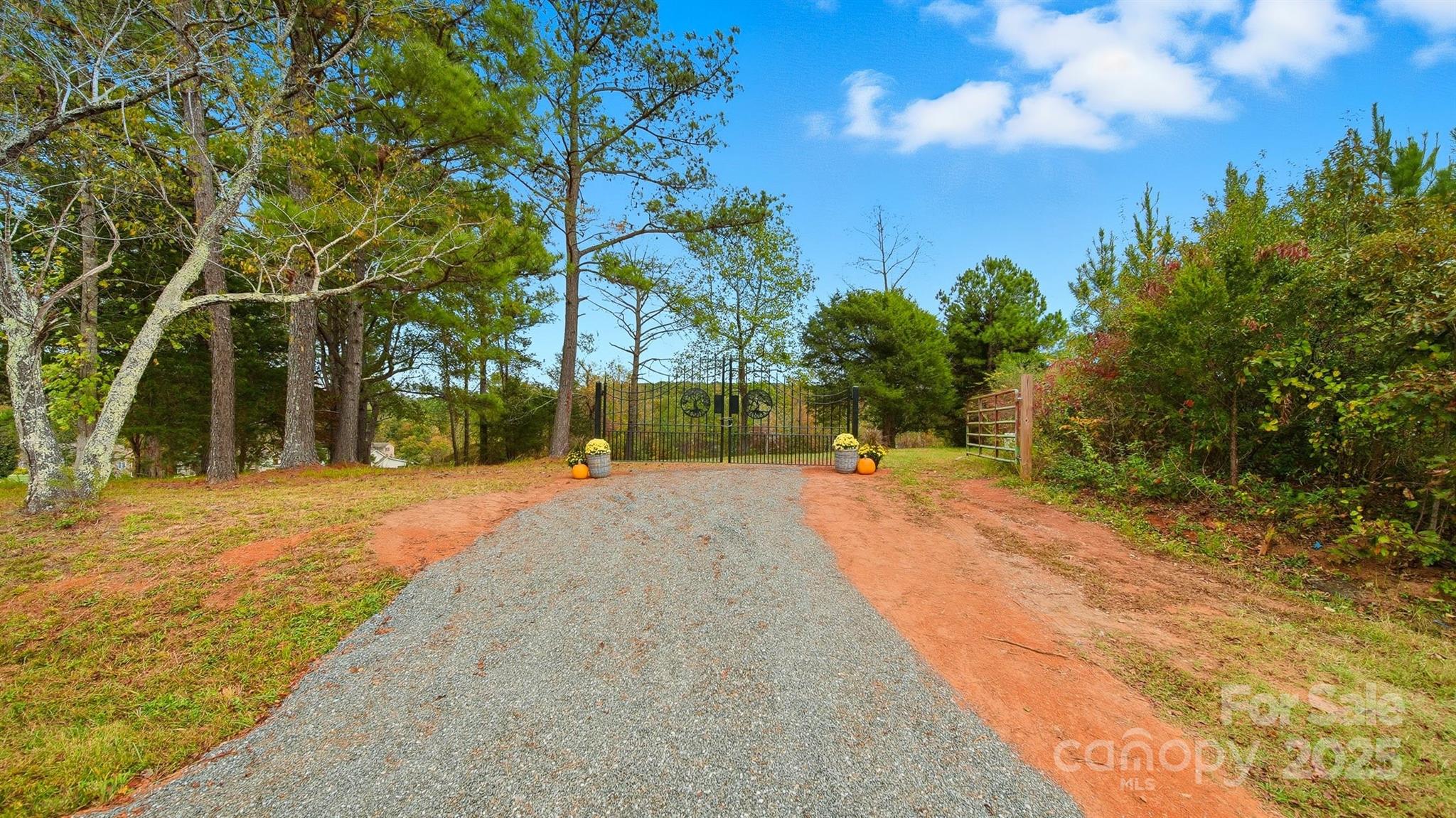 5411 Icard Ridge Road Hickory, NC 28601 - Photo 4 of 26 a view of a yard with plants and a large tree