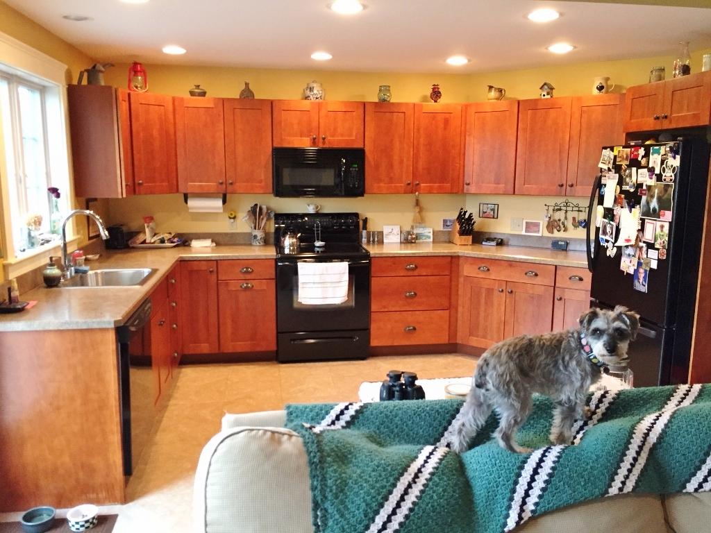 421 Heath Road Lebanon, ME 04027 - Photo 4 of 13