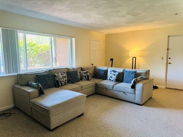 3 April Lane, Unit 12 Lexington, MA 02421 - Photo 3 of 6