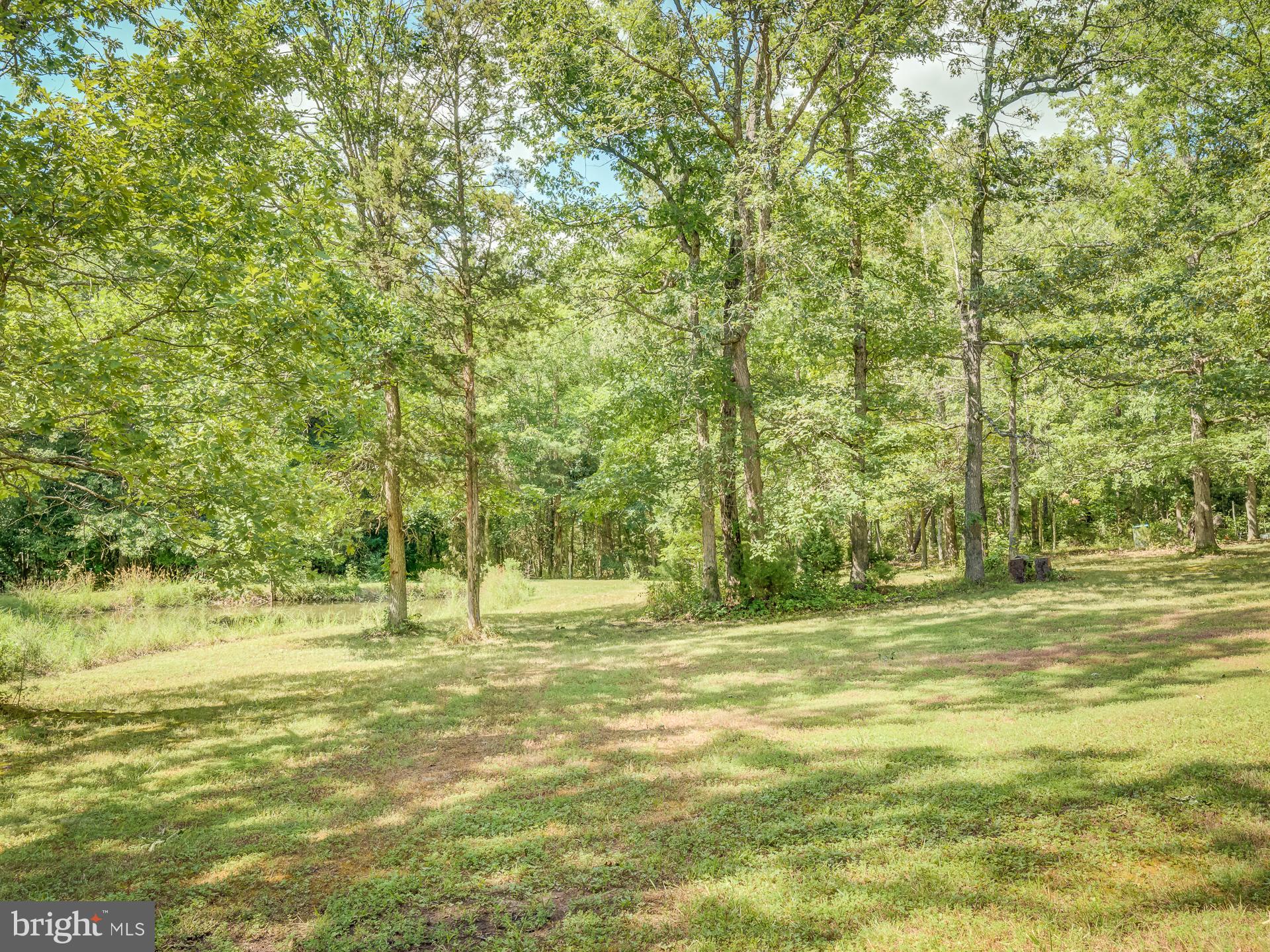 12346 Elk Run Road Midland, VA 22728 - Photo 58 of 61 Back Yard View Continued