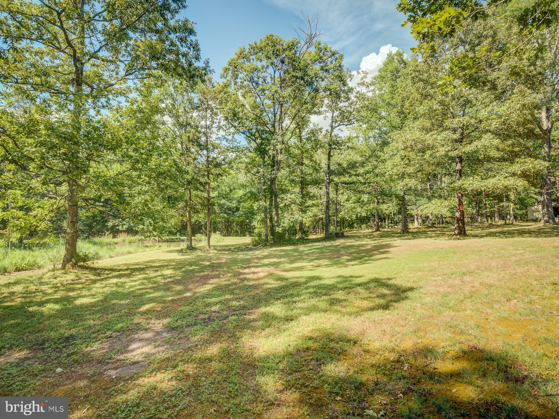 12346 Elk Run Road Midland, VA 22728 - Photo 59 of 61 Back Yard View Continued
