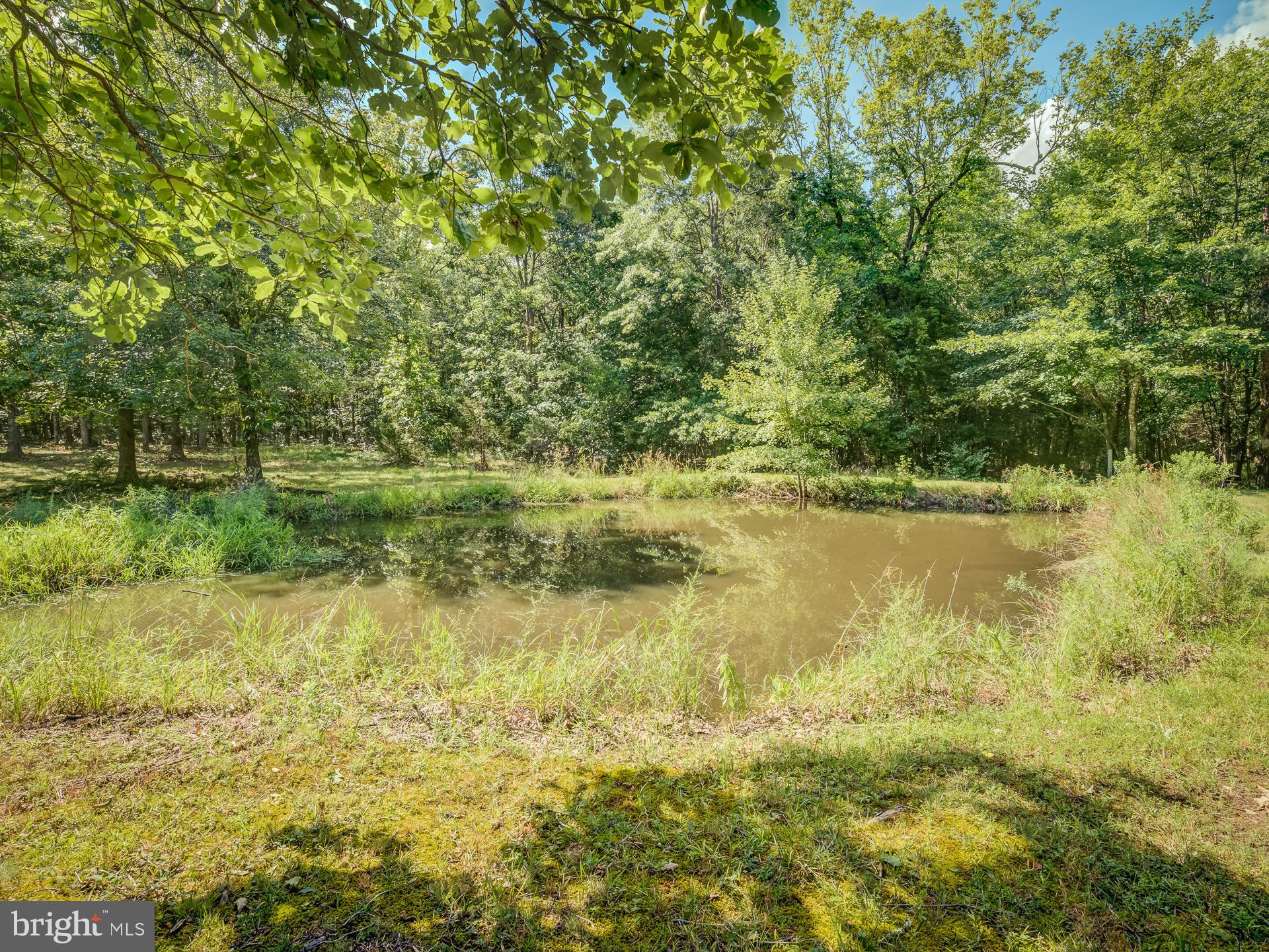 12346 Elk Run Road Midland, VA 22728 - Photo 60 of 61 Back Yard View Continued to the Pond Area