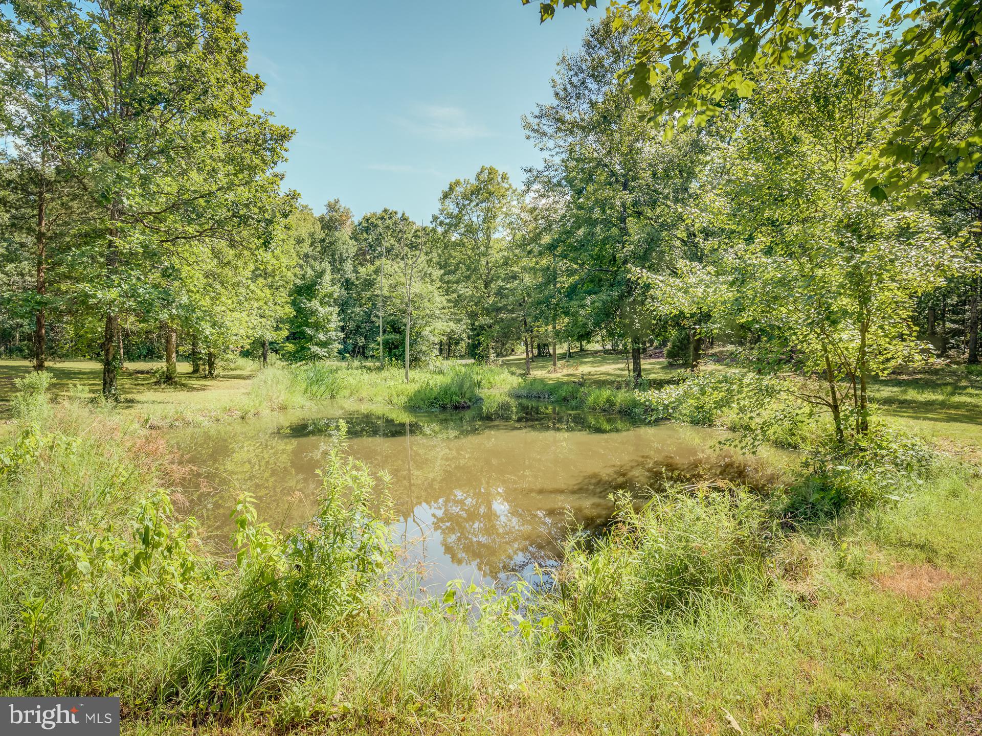 12346 Elk Run Road Midland, VA 22728 - Photo 61 of 61 Pond Area