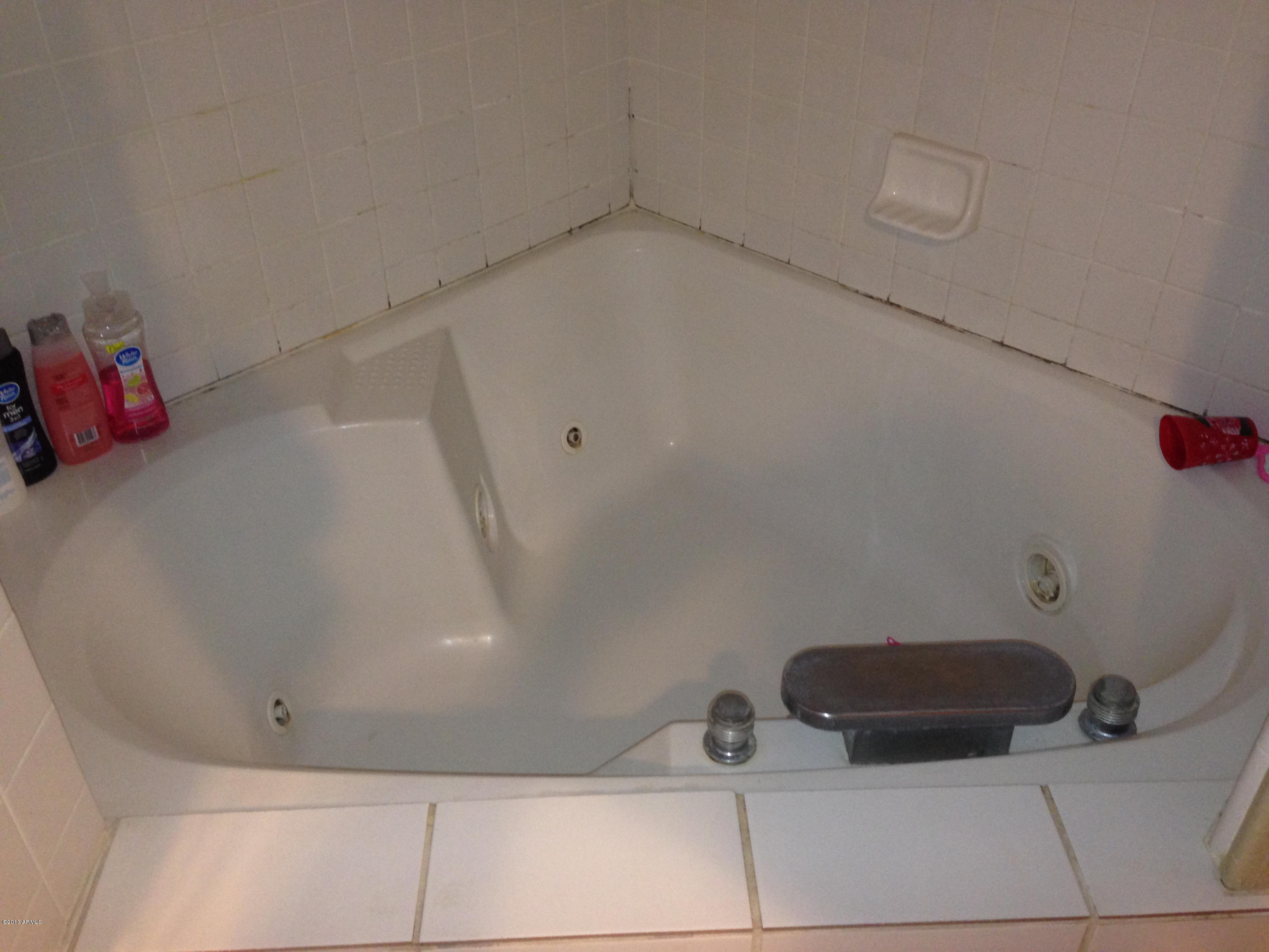 5808 West Hearn Road Glendale, AZ 85306 - Photo 6 of 8 Master Bathroom