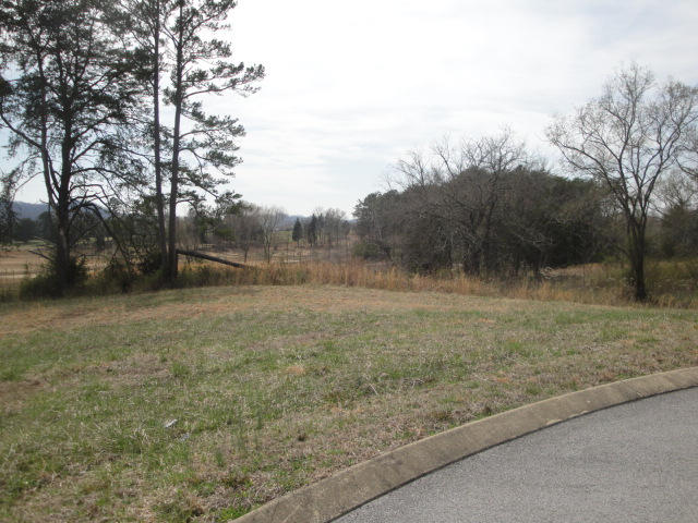 Lot 5 Landon Way Bean Station, TN 37708 - Photo 2 of 2 Lot 5