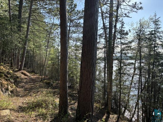 3506 Hanson Lk Road Ely, MN 55731 - Photo 12 of 26