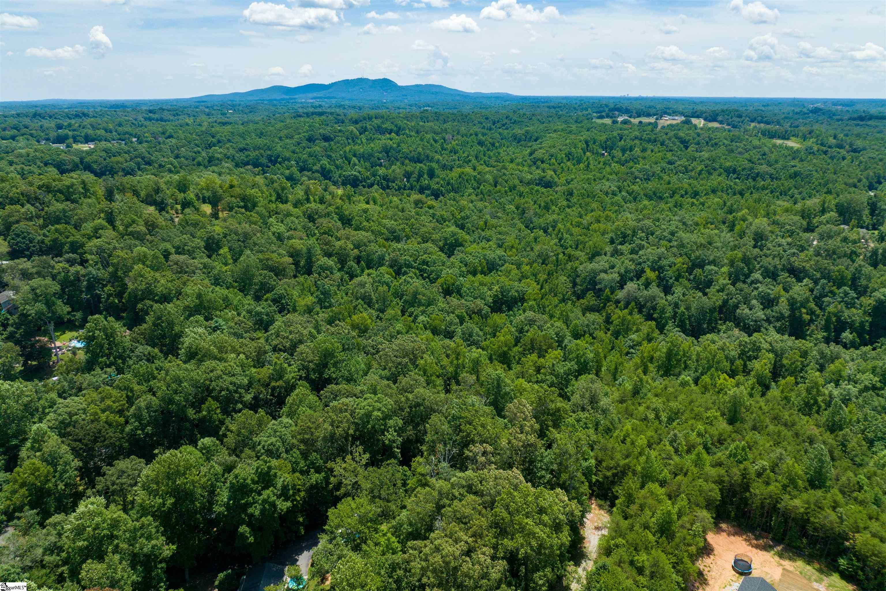 601 Tugaloo Road Travelers Rest, SC 29690 - Photo 8 of 14 Gallery Image 8
