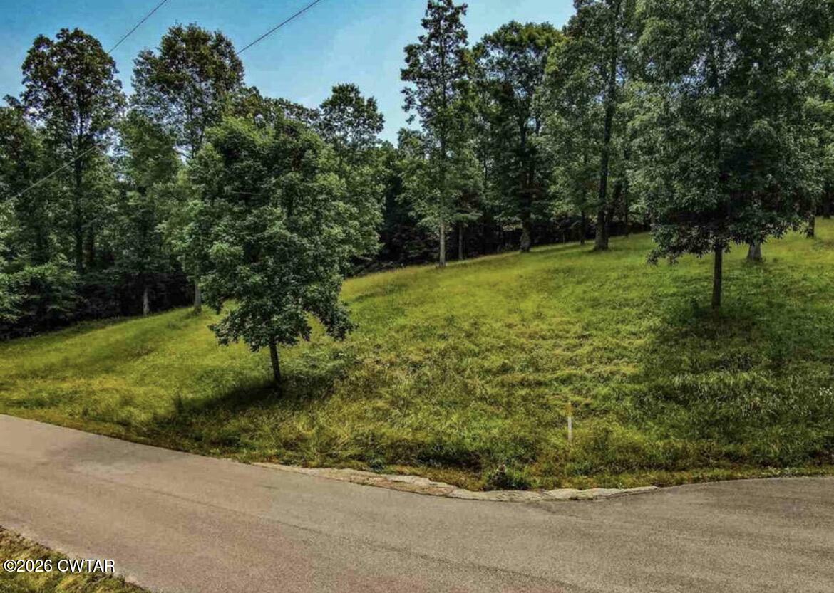 0 Oak Point Drive Lexington, TN 38351 - Photo 2 of 7 IMG_3041