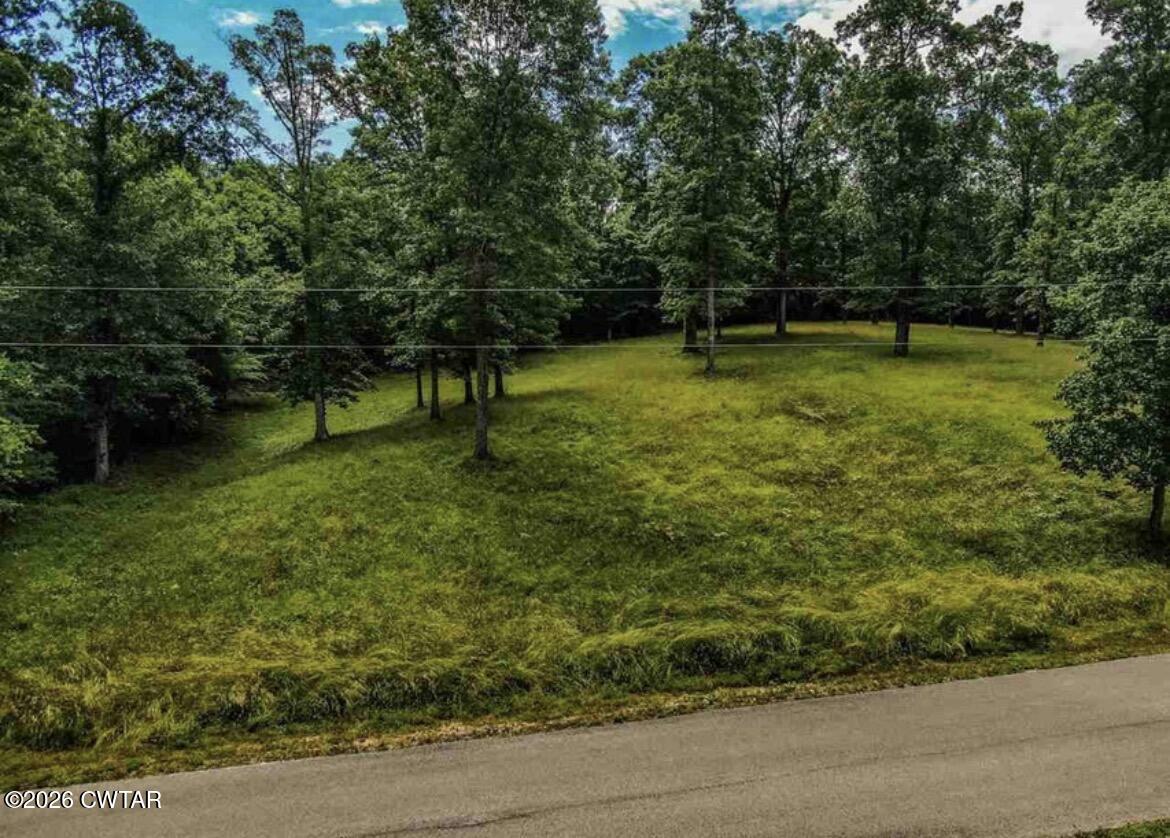 0 Oak Point Drive Lexington, TN 38351 - Photo 3 of 7 IMG_3042