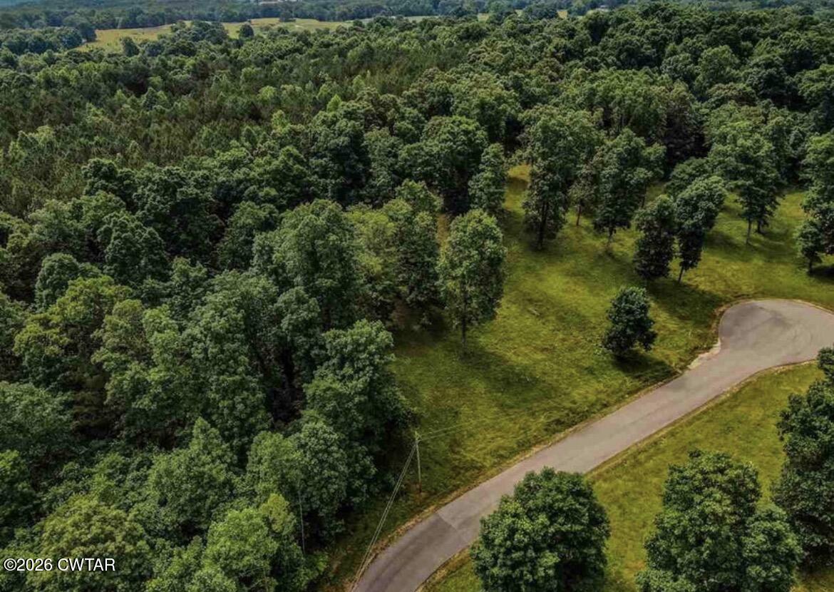 0 Oak Point Drive Lexington, TN 38351 - Photo 4 of 7 IMG_3040