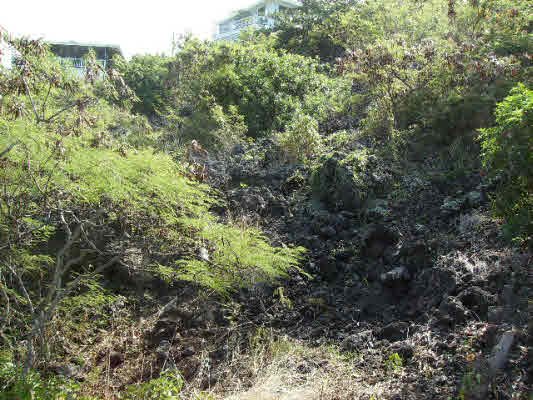 220 Ili Ili Road Captain Cook, HI 96704 - Photo 7 of 8 Gallery Image 7