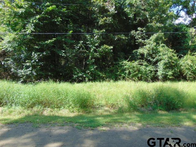 877 Caroline Bend Bullard, TX 75757 - Photo 11 of 19 a view of a garden with plants and large trees