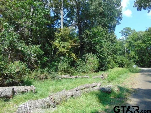 a view of a park with large trees