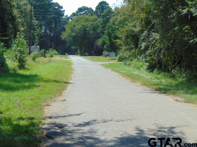 877 Caroline Bend Bullard, TX 75757 - Photo 13 of 19 a view of a park with large trees