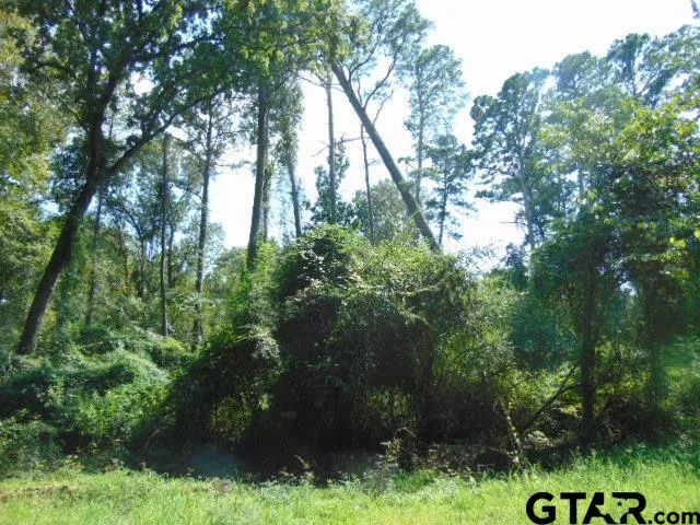 a view of a lush green forest with lots of trees