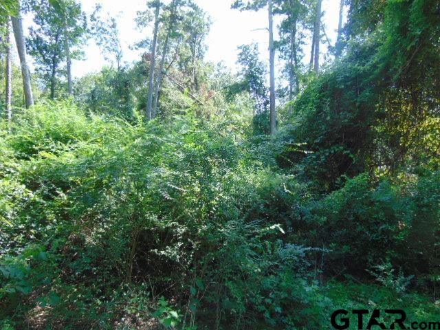 877 Caroline Bend Bullard, TX 75757 - Photo 6 of 19 a view of a lush green forest with lots of trees