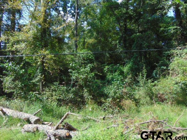 877 Caroline Bend Bullard, TX 75757 - Photo 8 of 19 a view of a lush green forest with lots of trees
