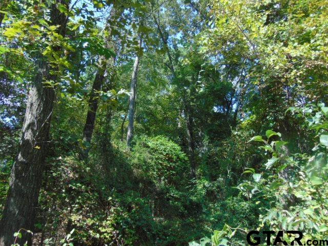 877 Caroline Bend Bullard, TX 75757 - Photo 9 of 19 a view of a lush green forest