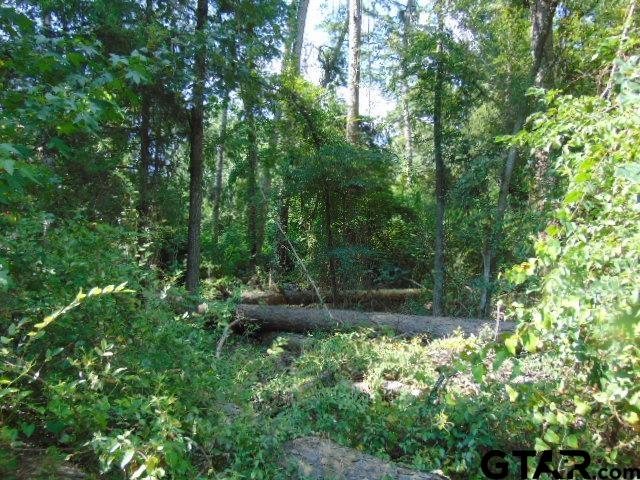 877 Caroline Bend Bullard, TX 75757 - Photo 10 of 19 a view of outdoor space and yard