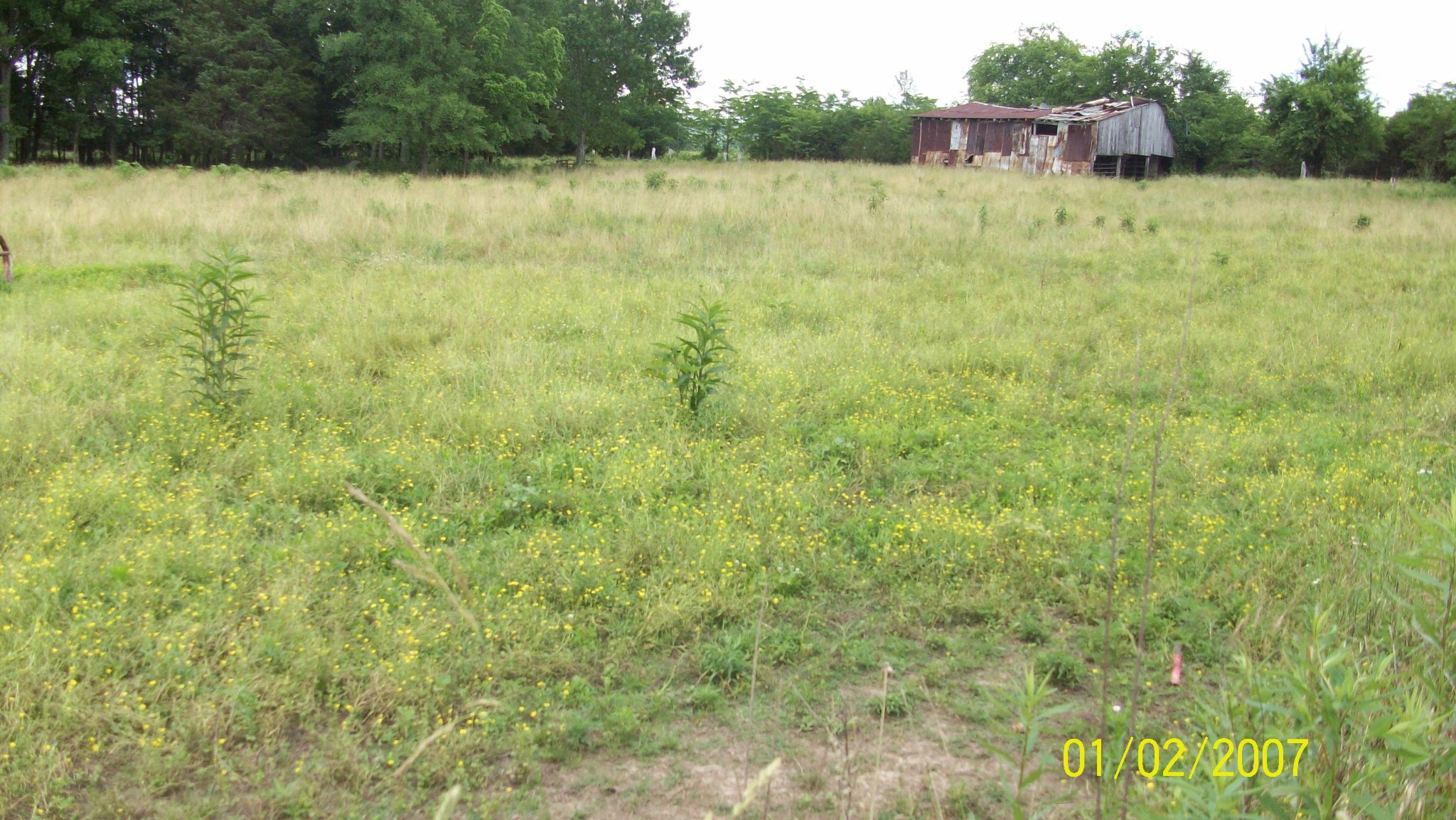 866 Rocky Road Liberty, TN 37095 - Photo 3 of 5