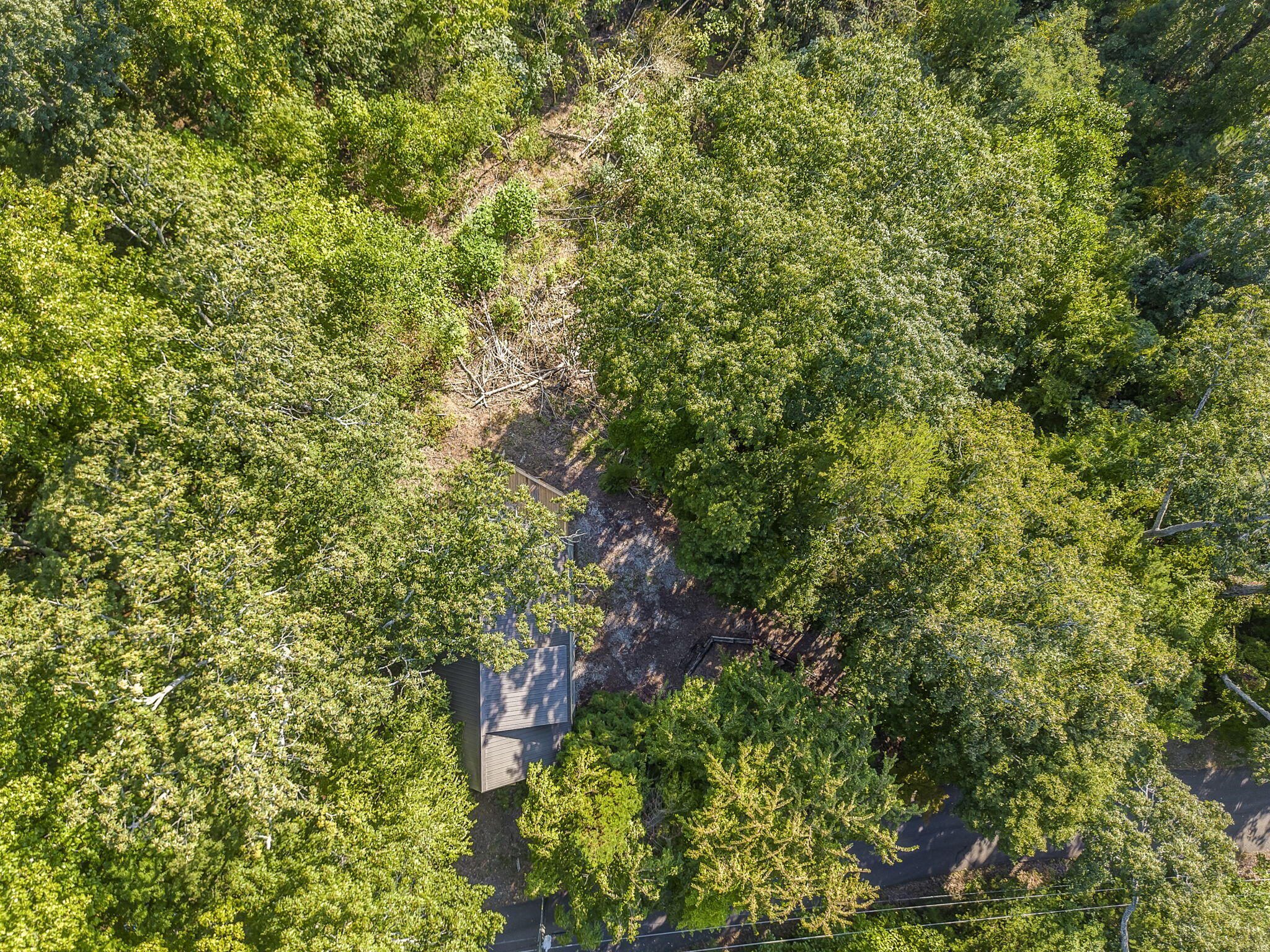 800 City View Road Chatsworth, GA 30705 - Photo 3 of 54 3-web-or-mls-DJI_0945_6_7