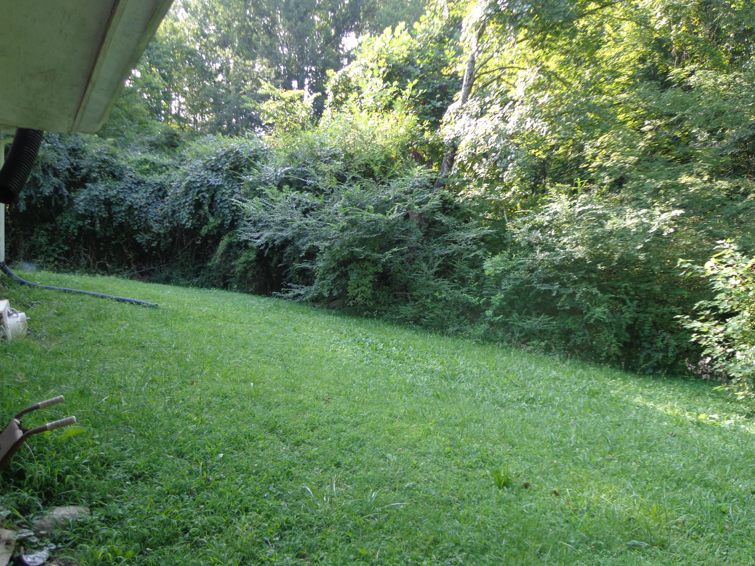 3009 Barnard Road Knoxville, TN 37921 - Photo 3 of 10 DSC01458