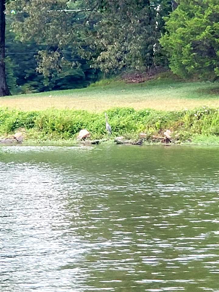 4764 Coro Road Memphis, TN 38109 - Photo 13 of 17 a view of ocean view