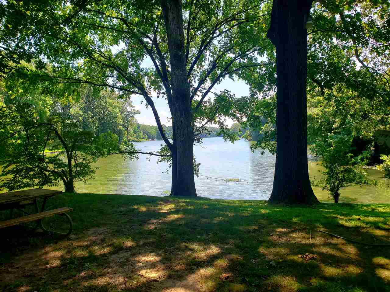 4764 Coro Road Memphis, TN 38109 - Photo 5 of 17 a view of a yard with large trees