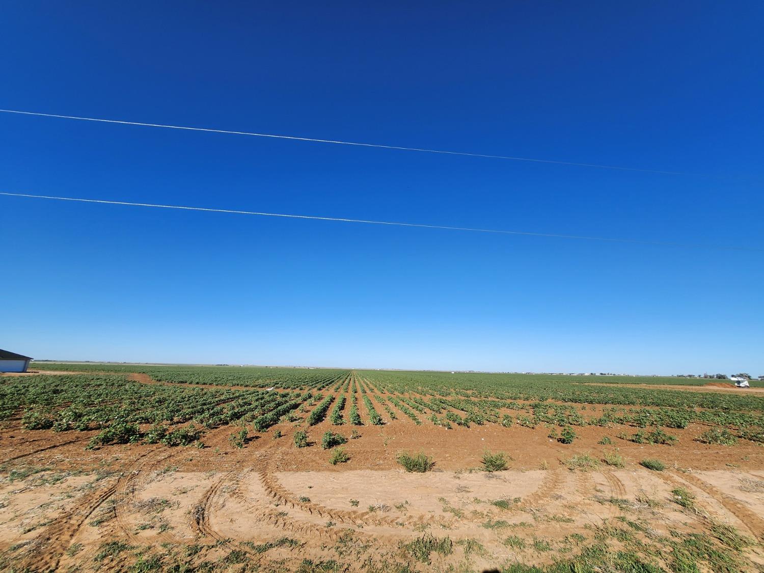 14015 North Fm 2378 Shallowater Tx 79313  