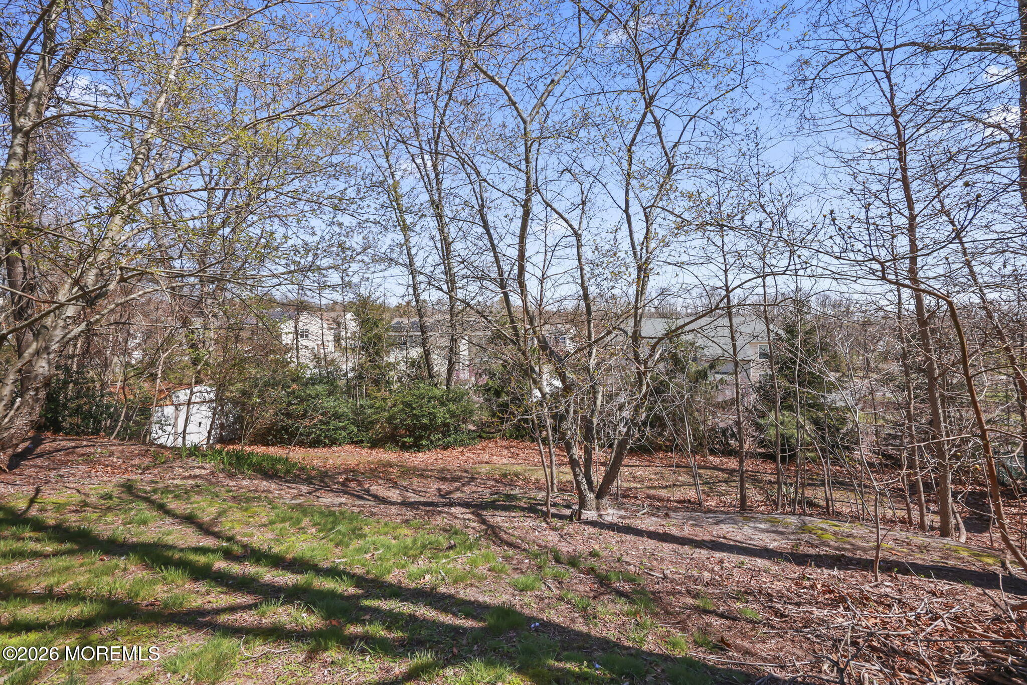 4 Spruce Road Howell, NJ 07731 - Photo 35 of 35 36-web-or-mls-LPM_2848