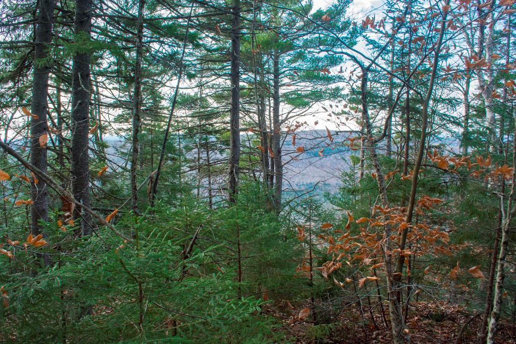 On Bearce Road Lakeville, ME 04487 - Photo 2 of 9 Maine Land for Sale