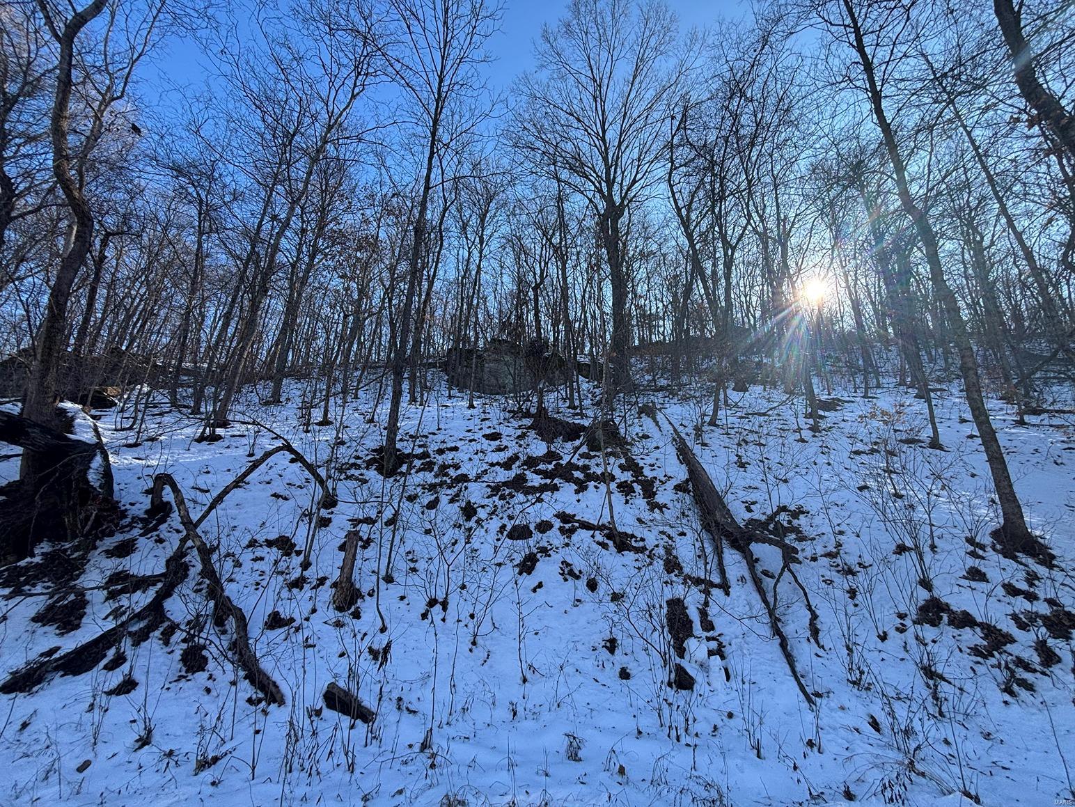 0 Rivertrail Road Hermann, MO 65041 - Photo 7 of 8