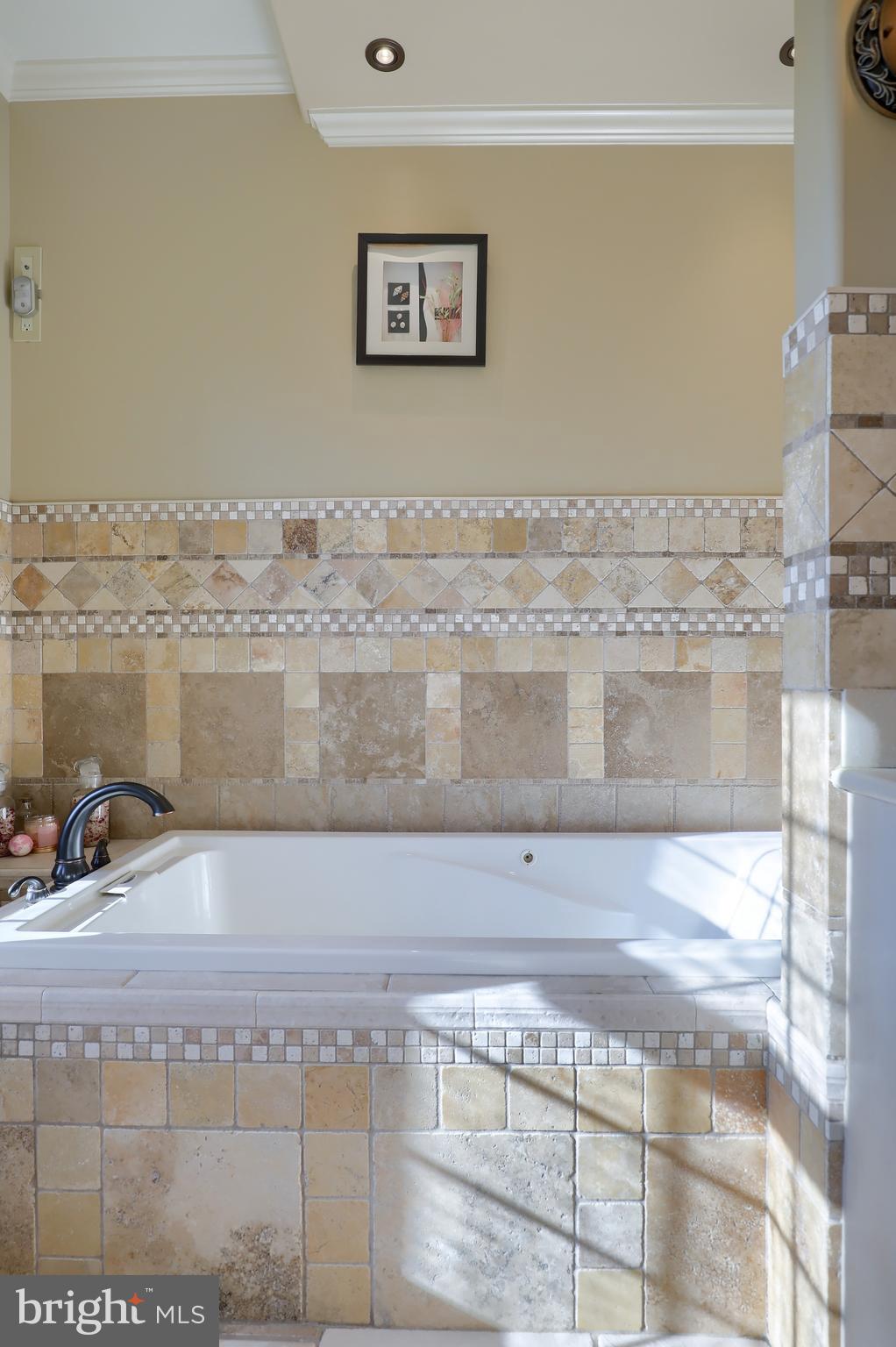 1415 Alsace Road Reading, PA 19604 - Photo 69 of 86 Master Bathroom